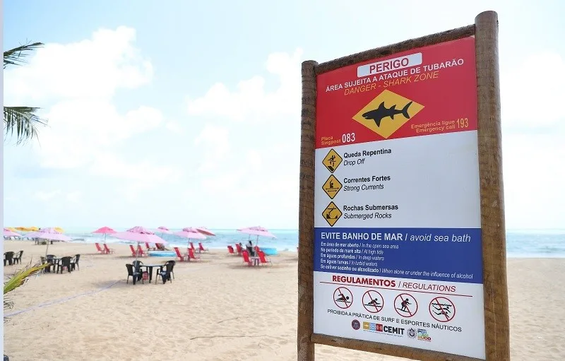 O litoral de Pernambuco tem placas alertando para o risco de ataques de tubarão ao longo de um trecho de 33 quilômetros de costa