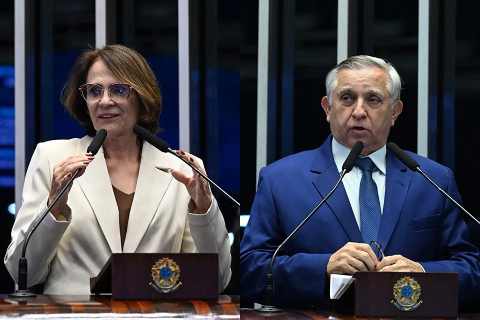 Damares Alves (Republicanos-DF) e Izalci Lucas (PL-DF).