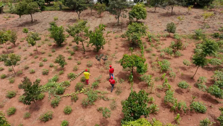 Arraiá do MST marca aniversário do Acampamento 8 de Março em Planaltina (DF)