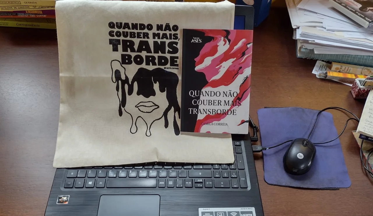 Quando não couber mais, transborde, livro de