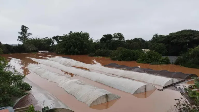 El Niño 2026: especialistas discutem estratégias para proteger agricultura familiar no Sul 