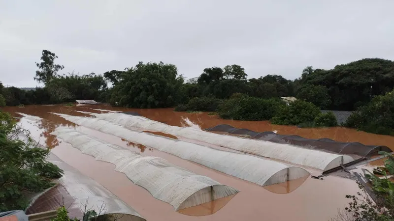 Estufa do MST em Eldorado do Sul alagada durante as enchentes de 2024, ocorridas sob influência do El Niño no RS