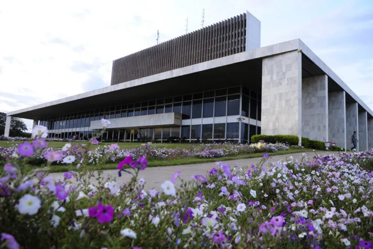 Paraná Pesquisas: Celina Leão alcança 45,9% em cenário sem Arruda para o Governo do DF