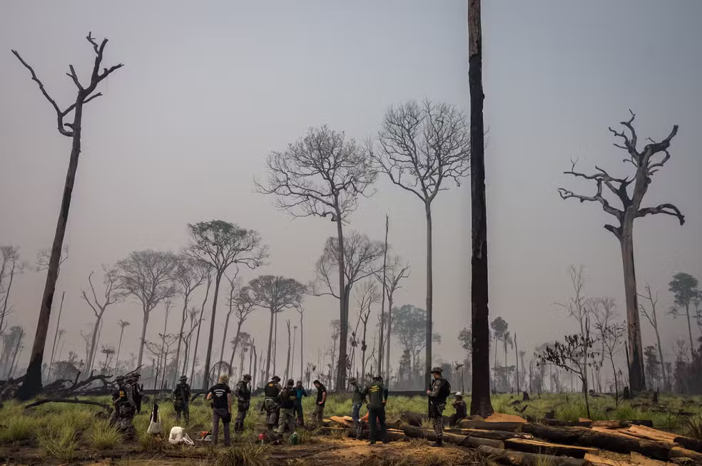 Agentes ambientais em operação na Floresta Nacional de Jamanxim, no Pará, uma das mais ameaçadas