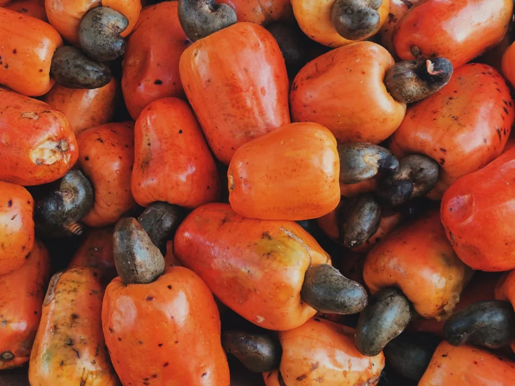 Bebida típica do Nordeste, a cajuína é feita do suco de caju natural