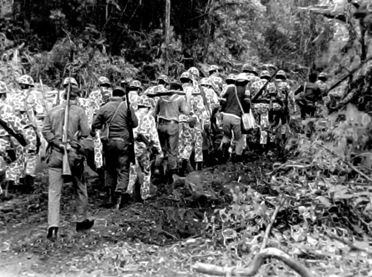 Desapropriação. Quedas do Iguaçu, 1980