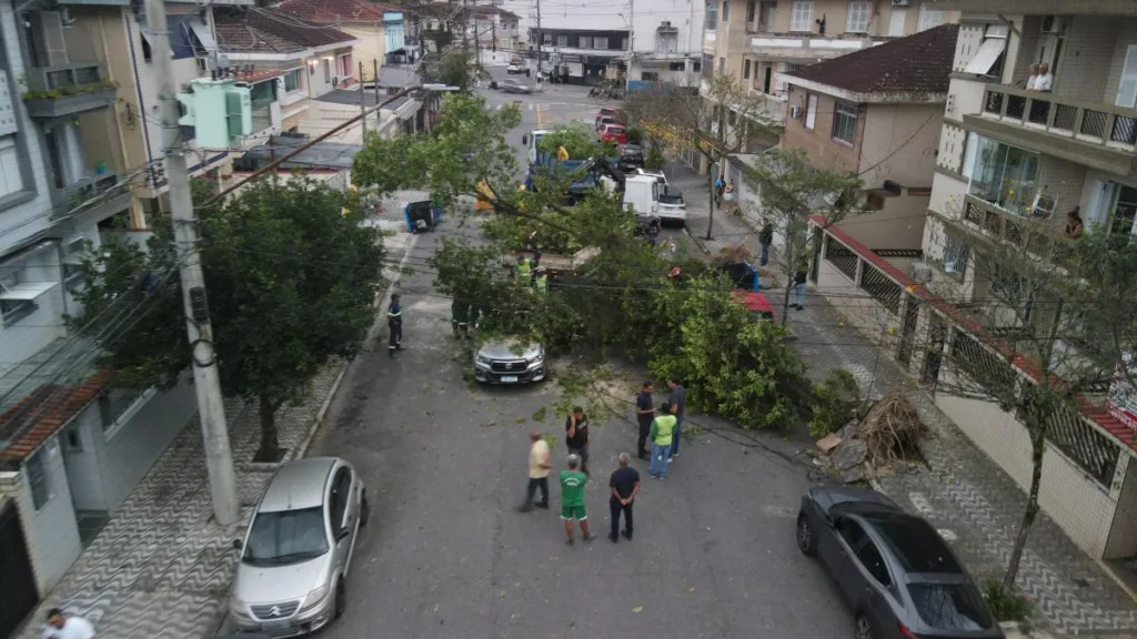 Um homem em situação de rua morreu em Santos (SP) após ser atingido pela queda de uma árvore