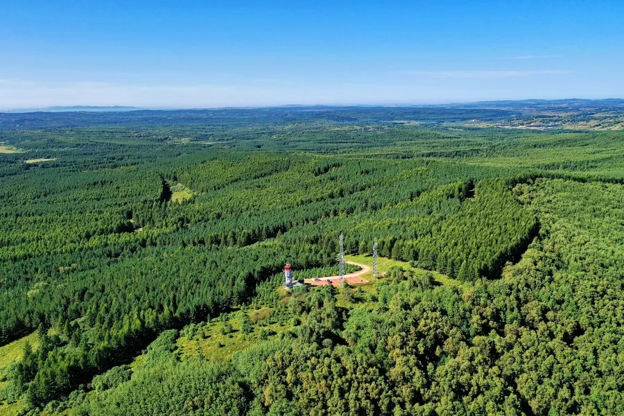 Imagem aérea da Fazenda Florestal de Saihanba, na província de Hebei, norte da China.