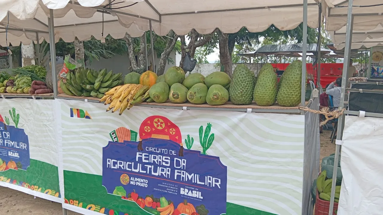 MST leva Feira da Reforma Agrária para Caruaru, com alimentos da agricultura familiar e transmissão de jogo do Brasil