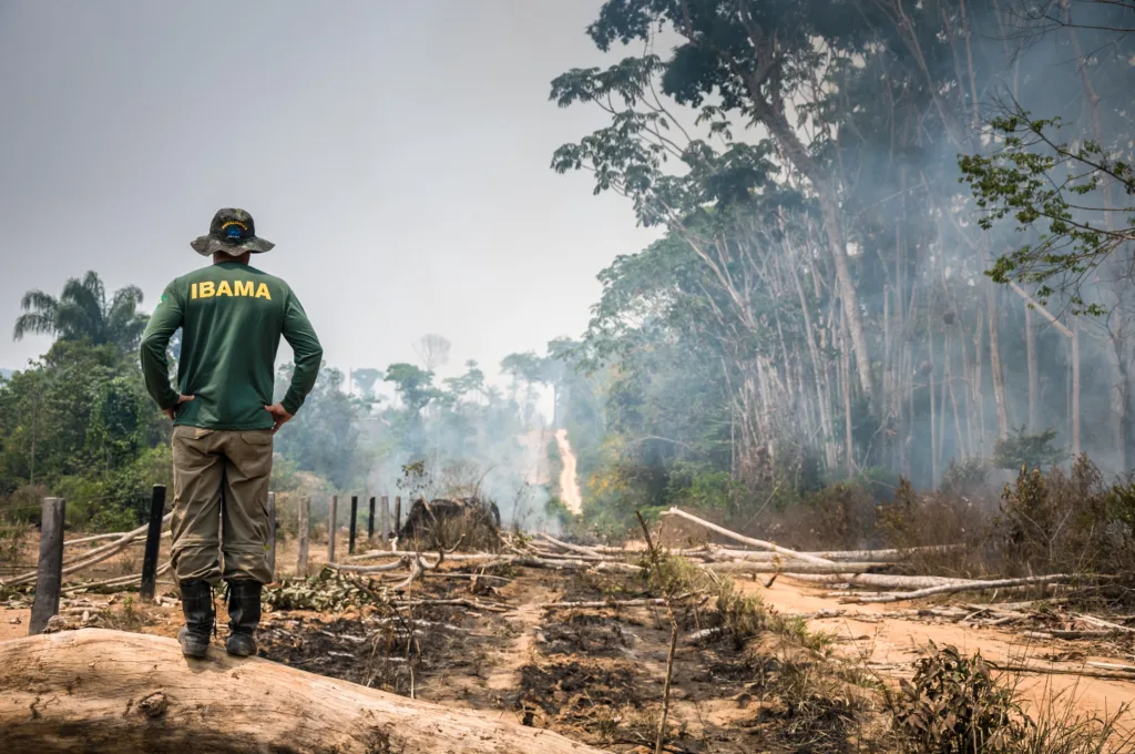 Operação de Fiscalização na Floresta Nacional do Jamanxim, no Pará