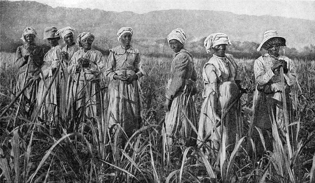 Mulheres trabalhando em uma plantação de cana-de-açúcar na Jamaica