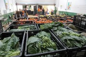 Compras públicas fortalecem a agricultura familiar ao garantir mercado para pequenos produtores e abastecer equipamentos públicos do Distrito Federal.