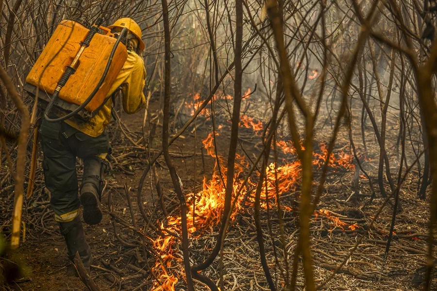 Brigadistas da comunidade quilombola Kalunga, em Goiás, chegam ao Pantanal como reforço na equipe do Prevfogo/Ibama e enfrentam vegetação densa em seu primeiro dia de combate na região.