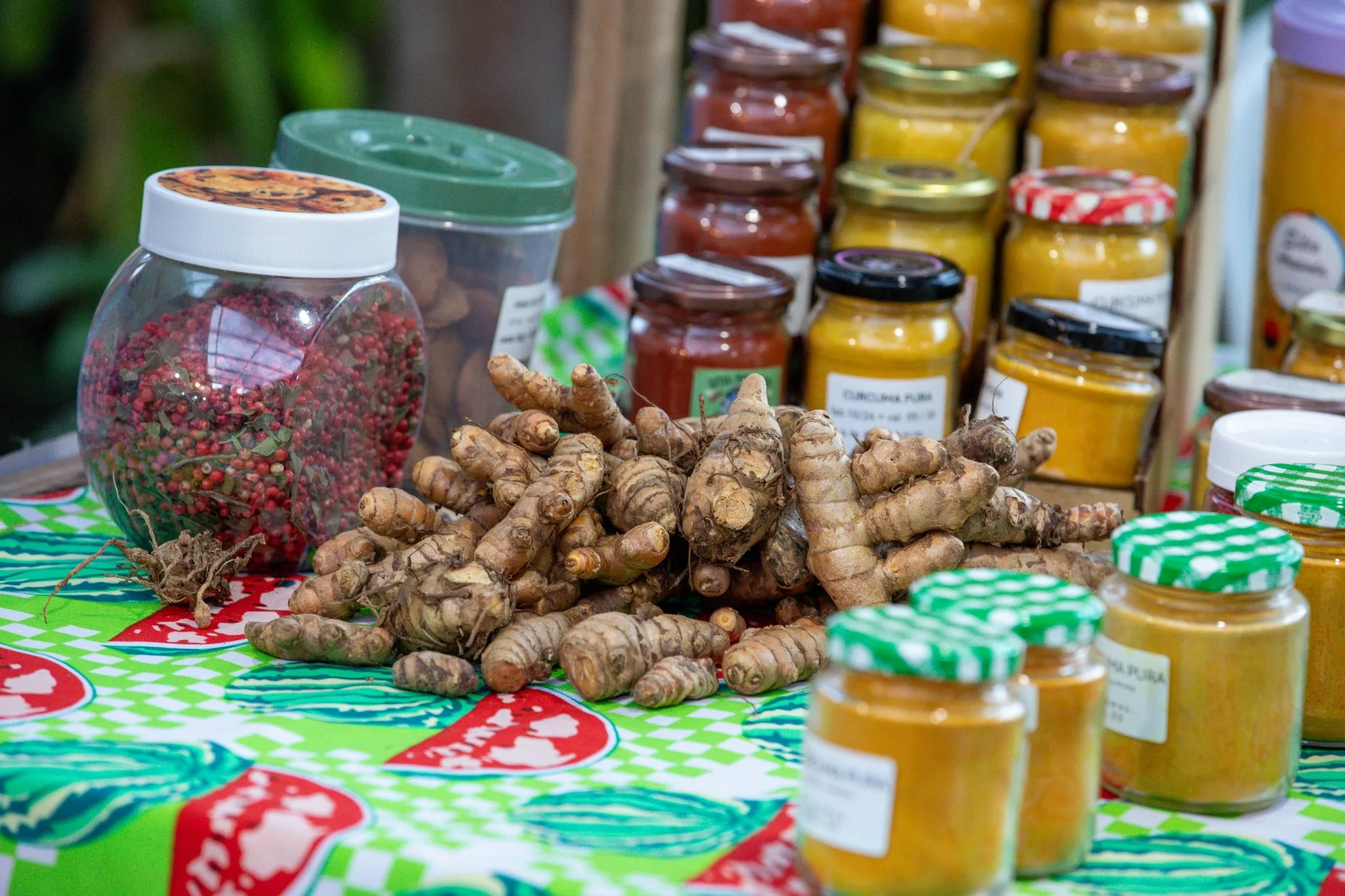 Festa celebra produtores da agricultura familiar e artistas locais