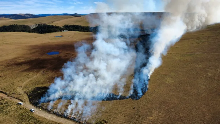 Parque Nacional de São Joaquim usa fogo controlado para prevenir grandes incêndios