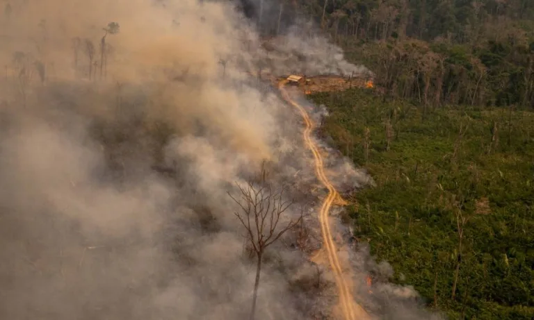 Queimada na Reserva Extrativista Jaci-Paraná, em Porto Velho, Rondônia Foto: Christian Braga/Greenpeace