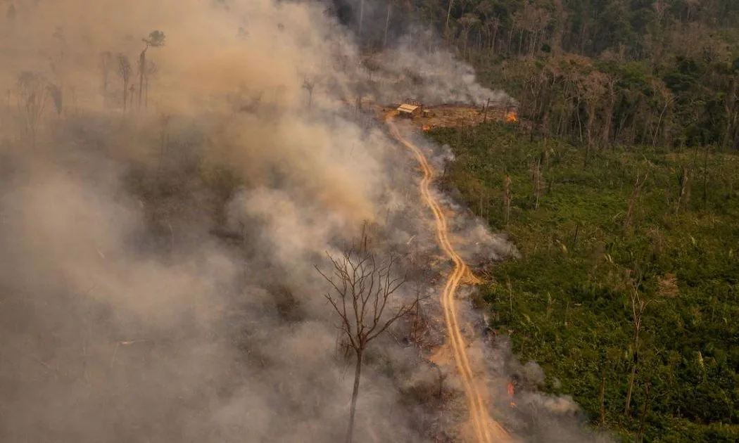 Queimada na Reserva Extrativista Jaci-Paraná, em Porto Velho, Rondônia Foto: Christian Braga/Greenpeace