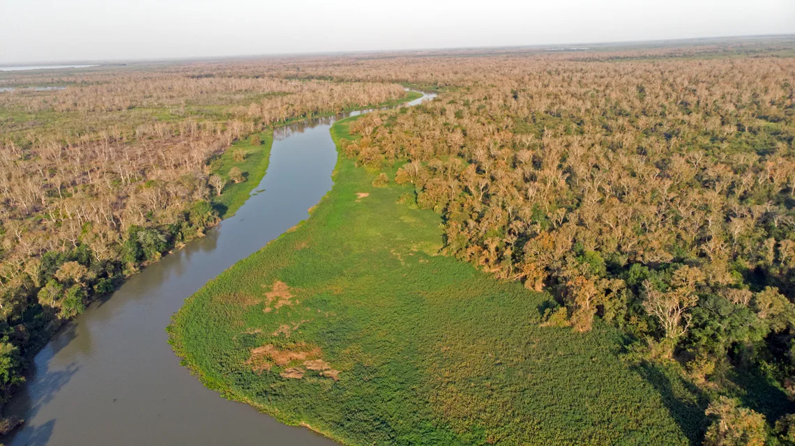 Unesp: Pantanal perdeu 80% das águas superficiais em 38 anos e incêndios severos disparam