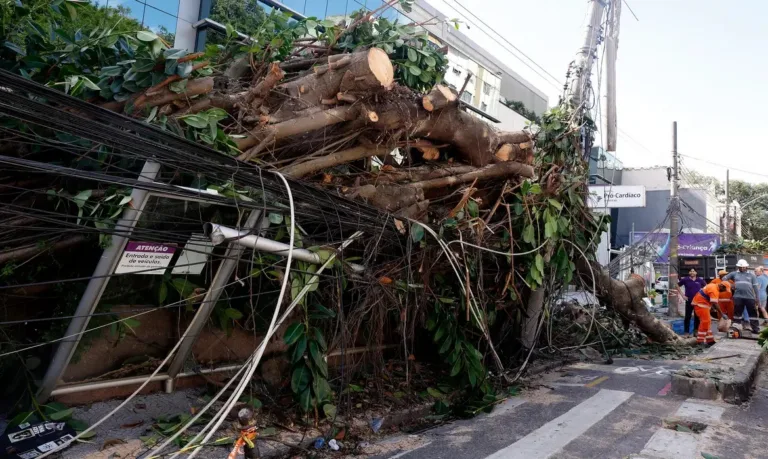 Ventania em SP, RS e RJ expõe falhas na resposta a extremos climáticos