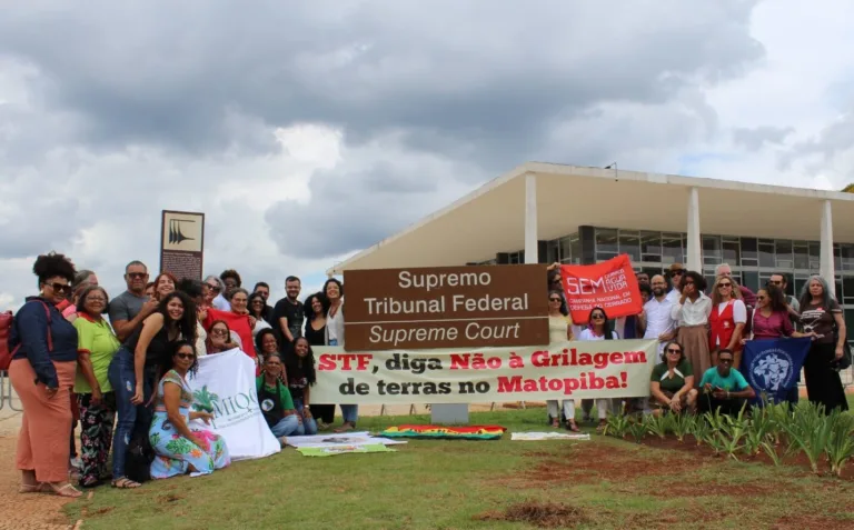 Terras públicas não têm dono privado: STF impõe freio à grilagem no Tocantins