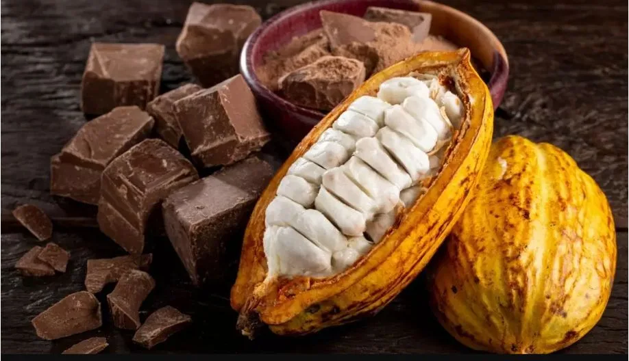Afinal, o cacau será banido em definitivo do que conhecemos como chocolate?