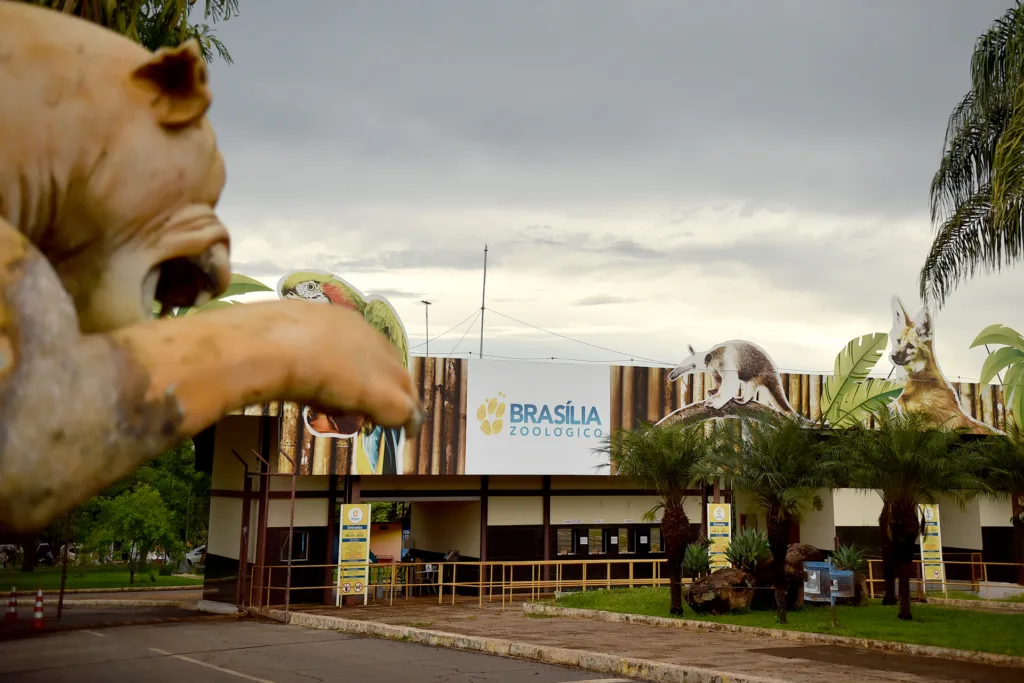 Uma viagem pelo Cerrado sem sair de Brasília. A exposição Conexões do Cerrado reúne tecnologia, interatividade e educação ambiental para aproximar o público da fauna e das paisagens do bioma.