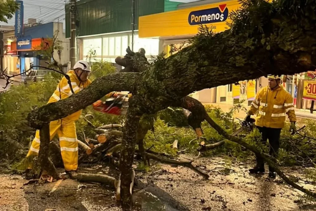 Queda de árvores em Rosário do Sul