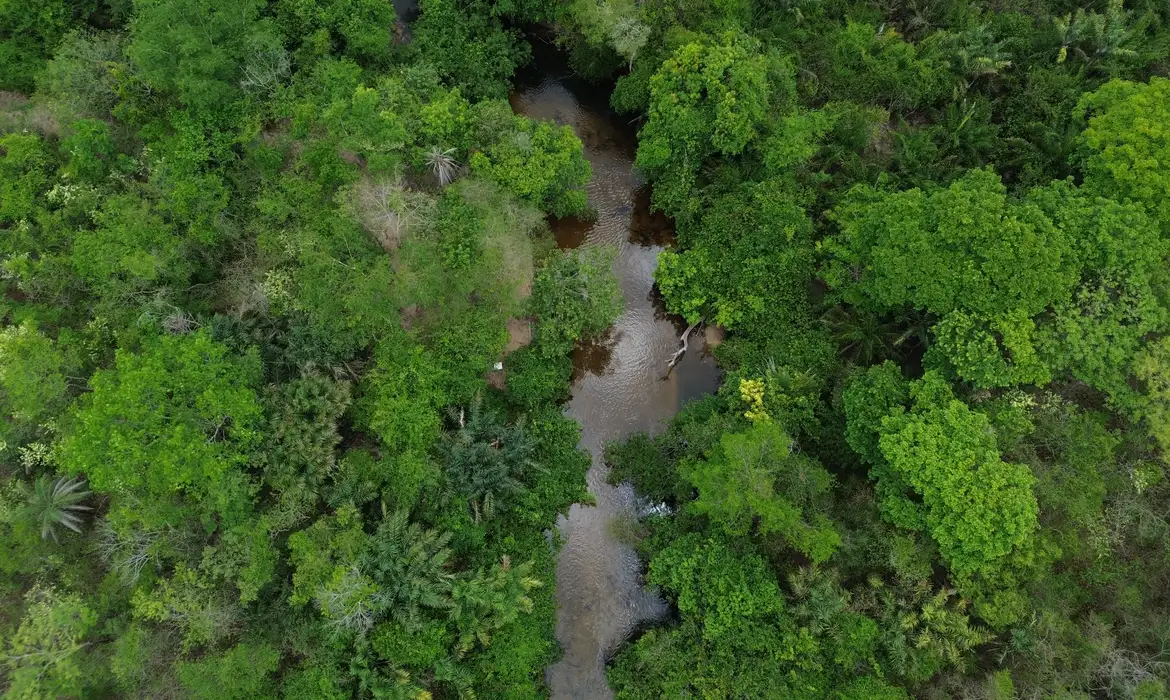 A Amazônia foi o bioma mais afetado pelo déficit de chuvas nos três El Niño,