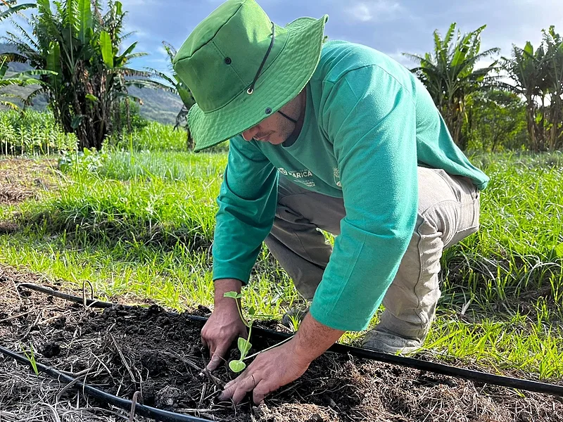 Produção agroecológica garante alimentação de qualidade para população