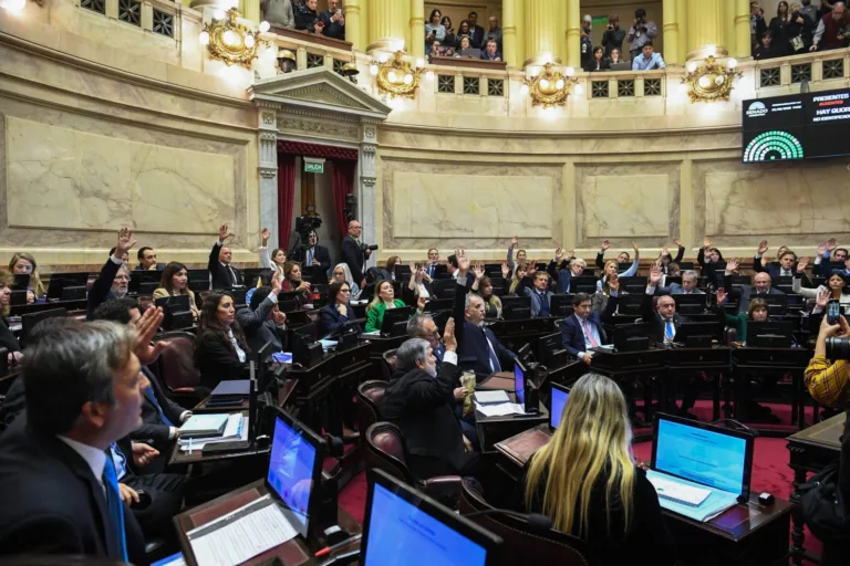 Com exclusão de trechos, Senado argentino aprova lei que altera direitos sobre terra