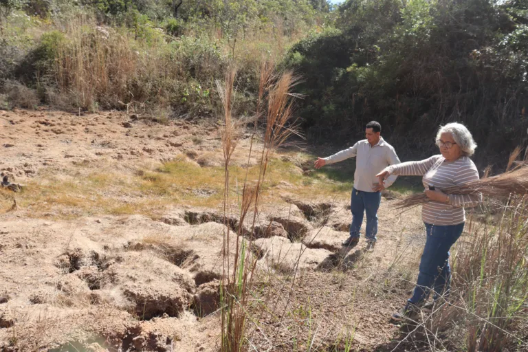 MPF apura impactos socioambientais da Aperam BioEnergia no Vale do Jequitinhonha (MG)