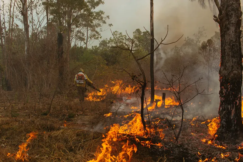 Estiagem prolongada e baixa umidade aumentam o risco de incêndios em vegetação no DF, que chegou a 54 dias sem chuva nesta quarta-feira (19)