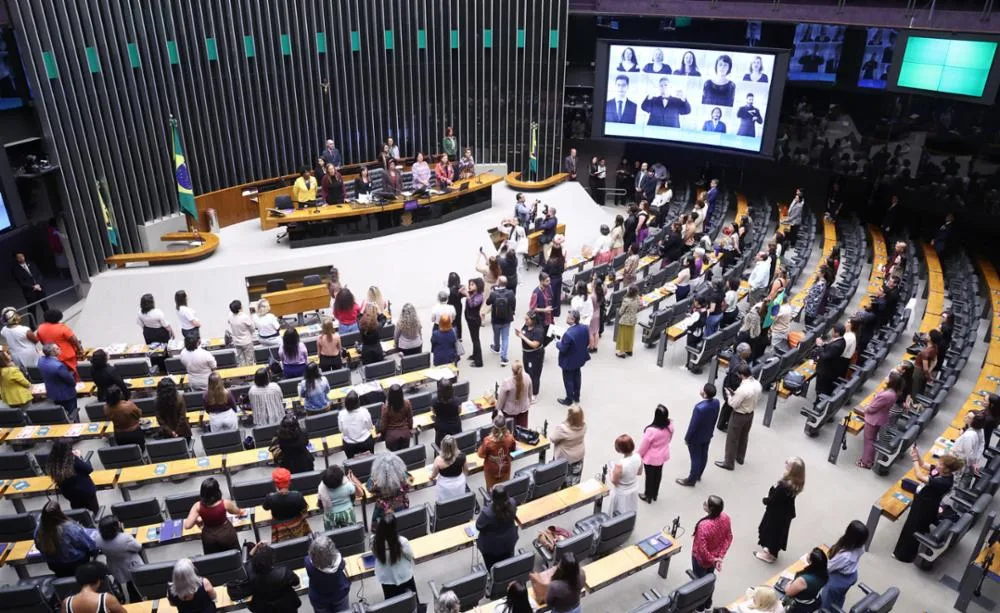 Sessão reuniu representantes de organizações e parlamentares na Câmara dos Deputados