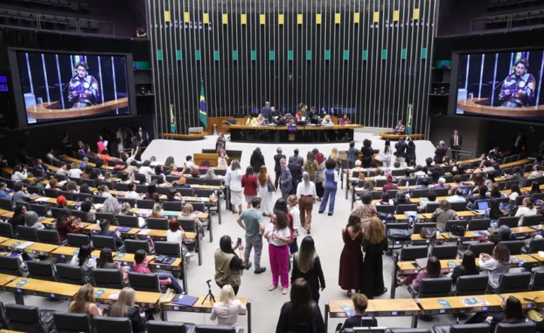 Enfrentamento à violência contra mulheres é luta política, econômica e cultural, diz deputada