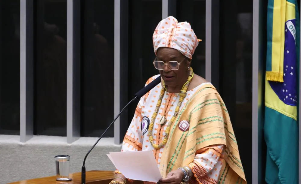 Iyá Sandrali destacou o papel dos movimentos feministas na construção da legislação
