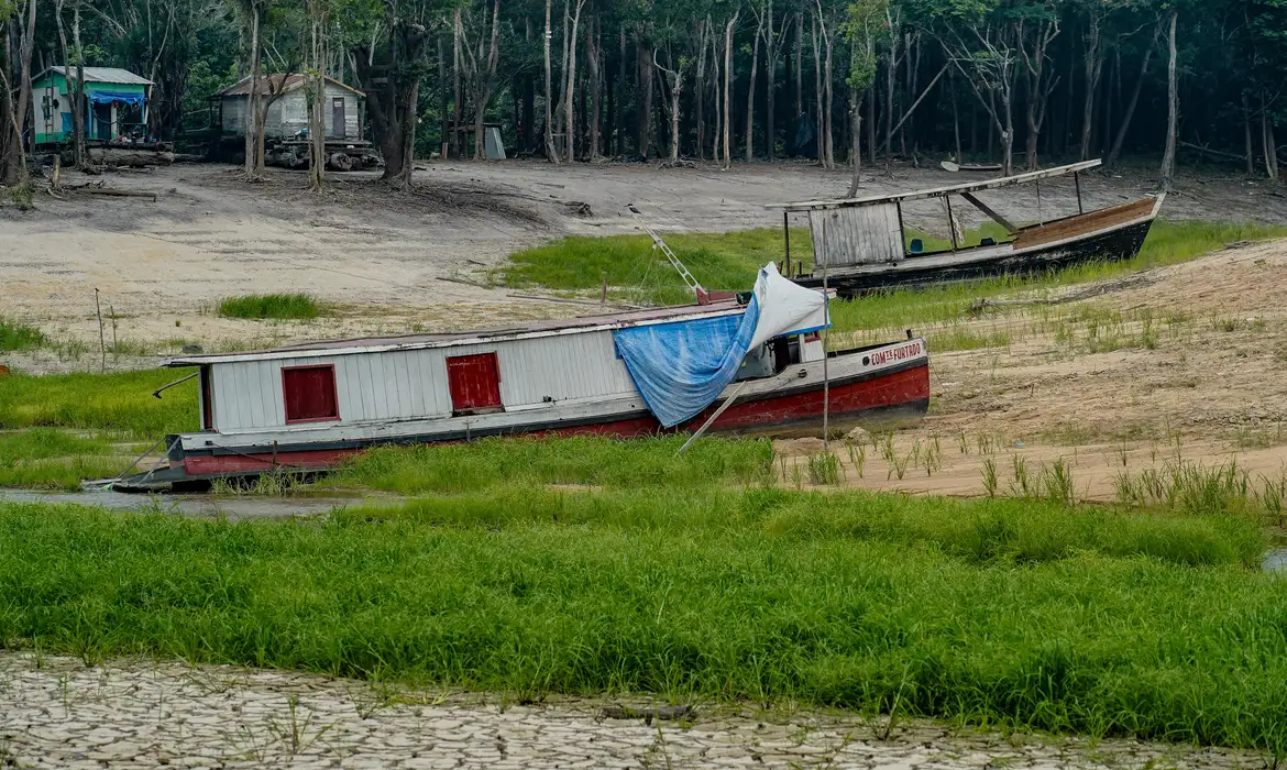 Combate a desertificação é o tema central da COP17, realizada na Mongólia