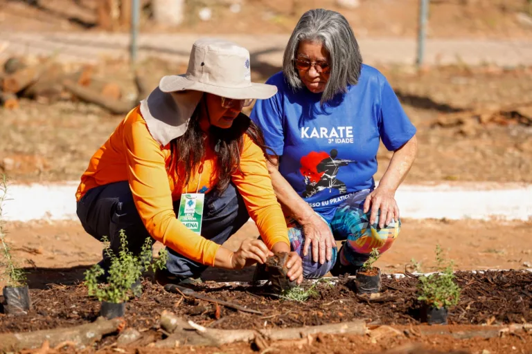 Hortos Agroflorestais promovem saúde, solidariedade e inclusão social no DF