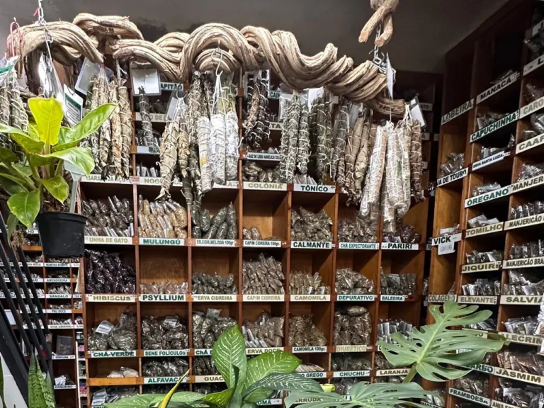 A ofensiva contra usuários na era da regulamentação da Cannabis