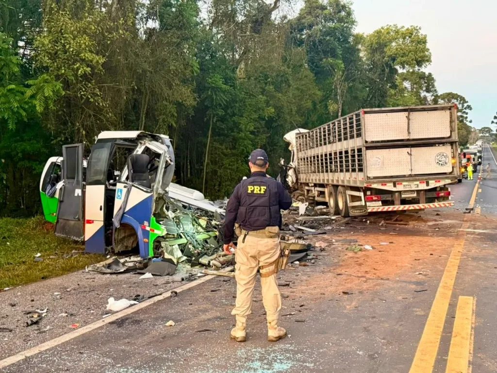 Acidente aconteceu na madrugada desta quarta-feira (19), no Km 209 da BR-373