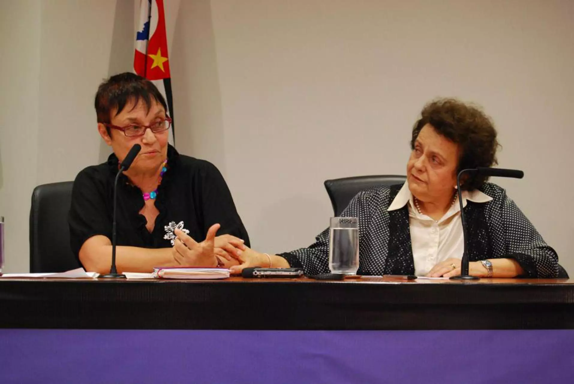Amelinha Teles e Eleonora Menicucci durante depoimento à Comissão Nacional da Verdade em 2012