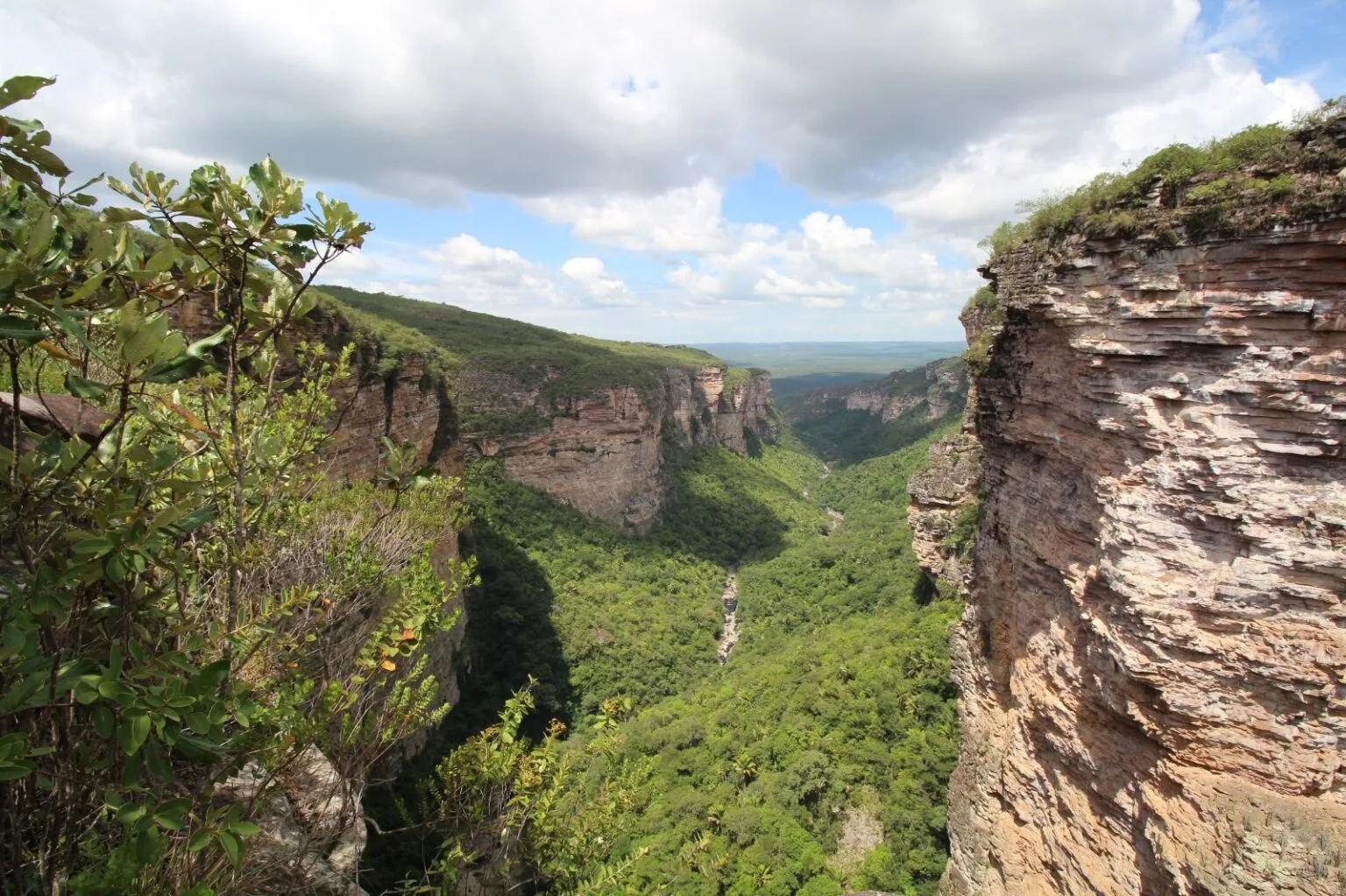 Decreto Estadual nº 24.778 institui o Refúgio de Vida Silvestre (REVIS) Serra da Chapadinha, resguardando aproximadamente 18 mil hectares distribuídos entre os municípios de Itaetê, Ibicoara, Mucugê e Iramaia, no coração da Chapada Diamantina
