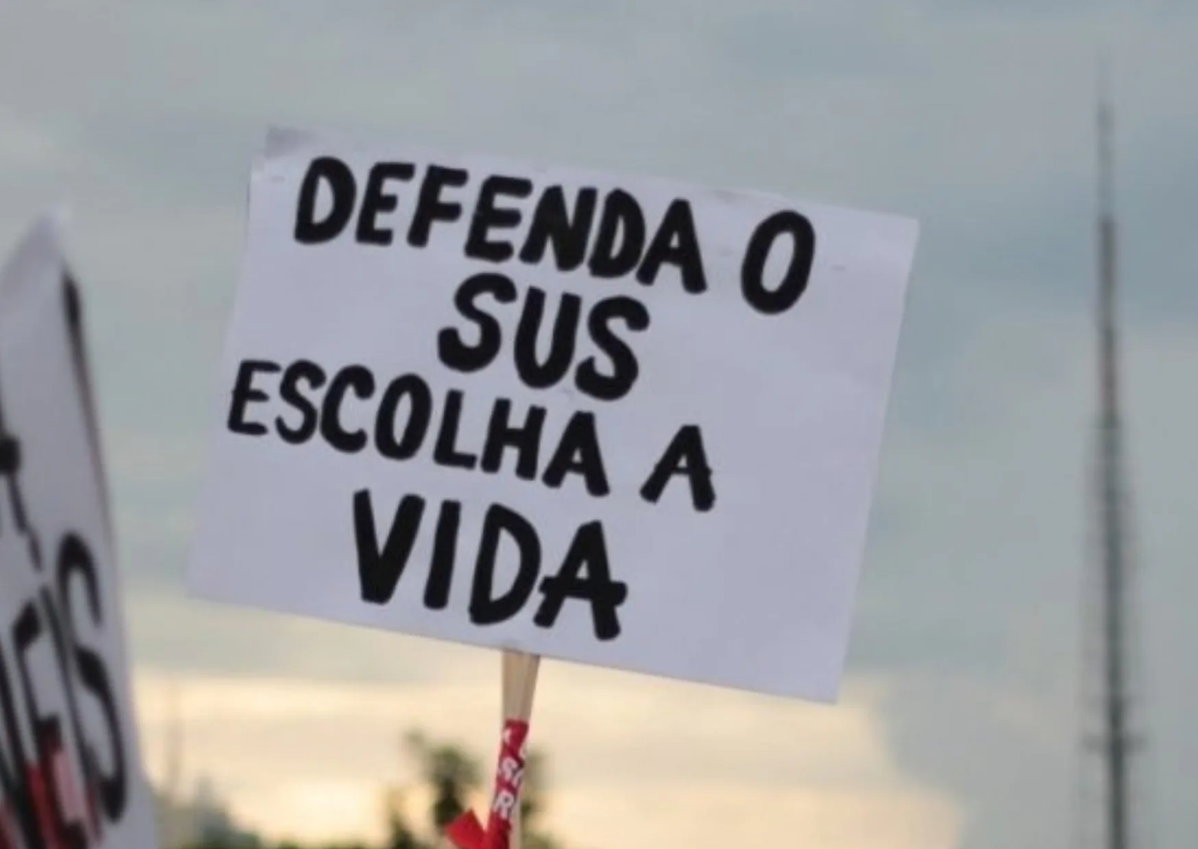 Os conselhos integram a estrutura das secretarias de Saúde dos municípios e dos estados e, no âmbito federal, do Ministério da Saúde