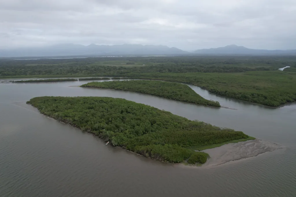 Ilha Pai Matos, em Cananeia (SP), local onde aconteceu o experimento.