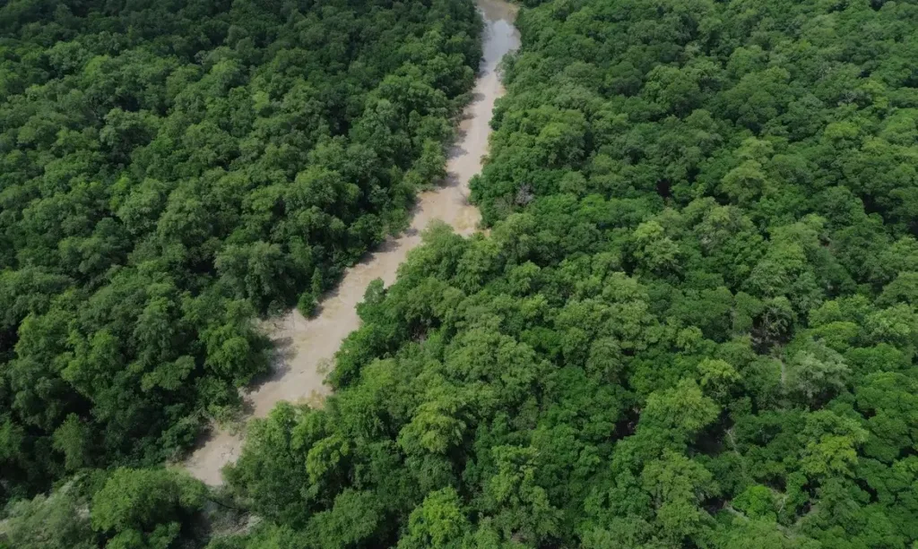 Amazônia