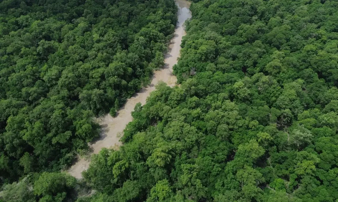 Amazônia
