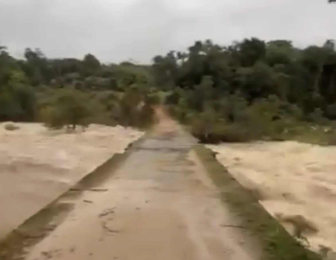 Quilombo Estreitinho, no Vale do Ribeira, sofre com enchentes sucessivas.