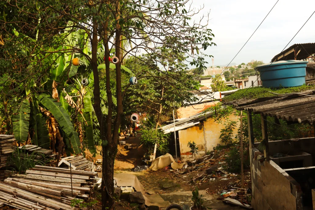 Mutirão recuperou área verde no terreno da Casa de Bambas e deu início a projeto de educação ambiental