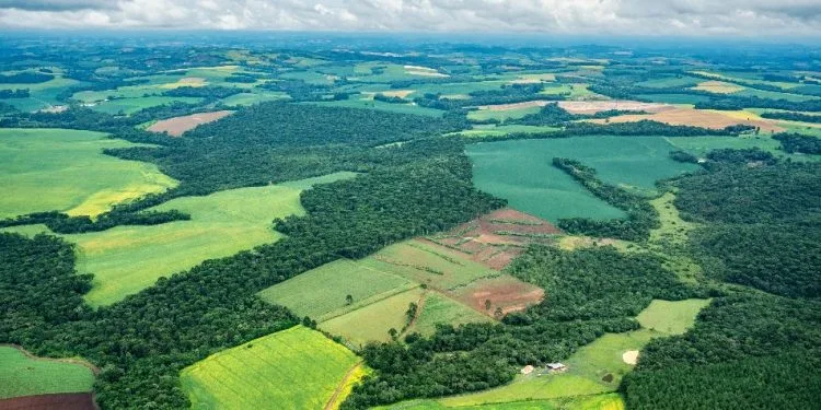 A agropecuária ocupa 68% da Mata Atlântica.