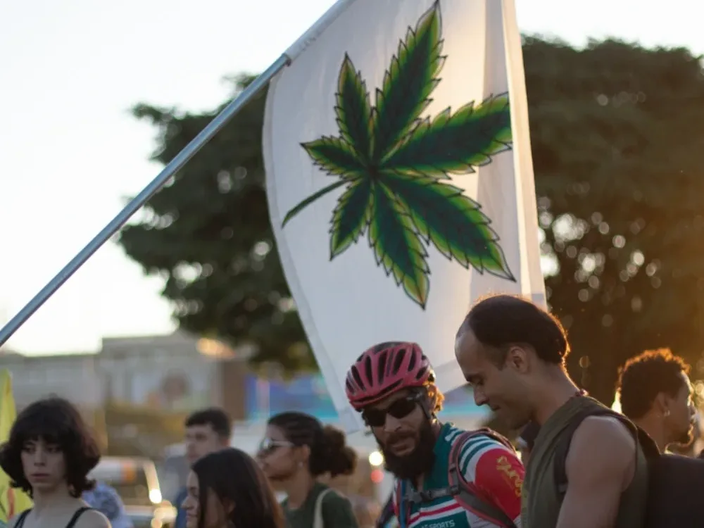 A cannabis é o símbolo de uma mobilização que há 18 anos coloca a política de drogas em debate.