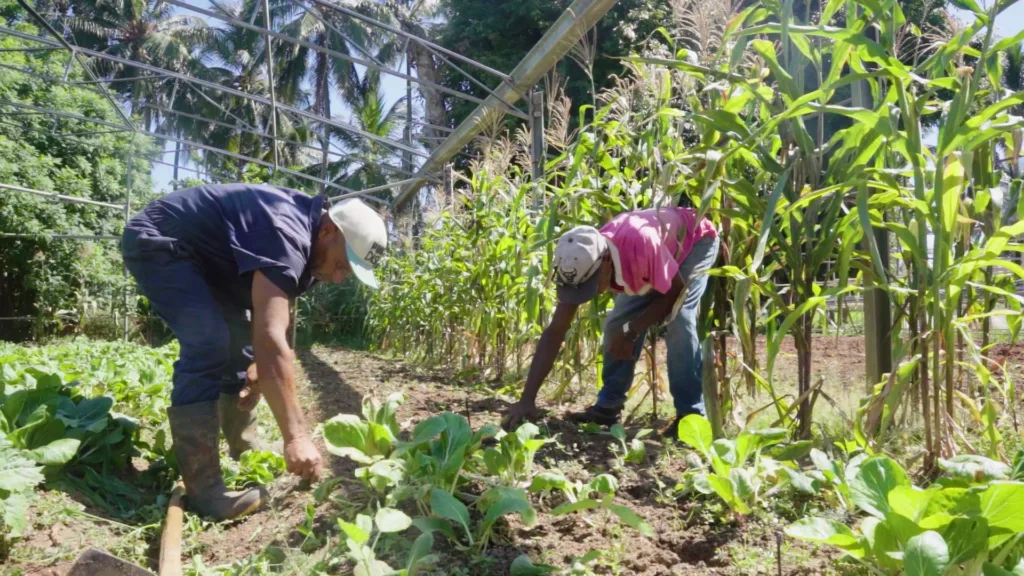 Trabalhadores da Cooperativa 1º de Julio, em Havana (Cuba)